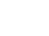 Wiener Zeitung